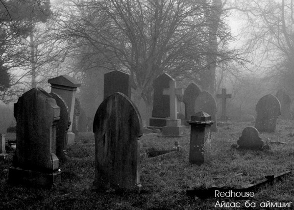 \"13754385_1073390546041456_8320284014257570386_n\"