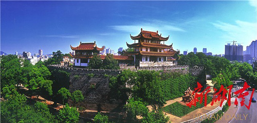 233e6f29dab54f39a4e8c8fb6fe3bec7