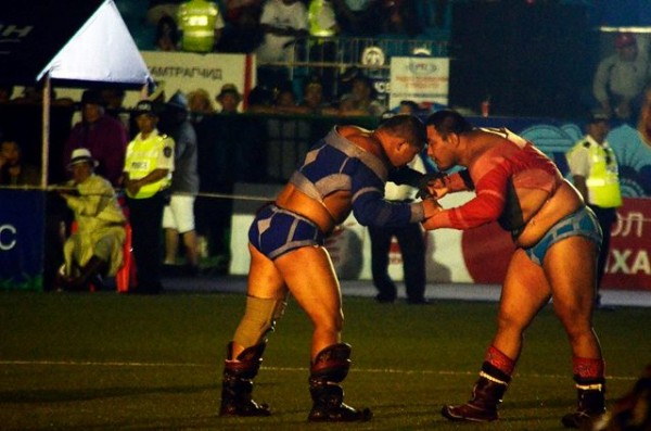 4391551d3b11029cec081adbc5188c81