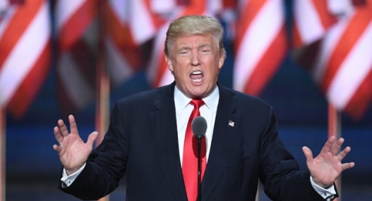 527-14691681171043438873-(1)