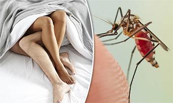 553c780df7e3ea8egreat