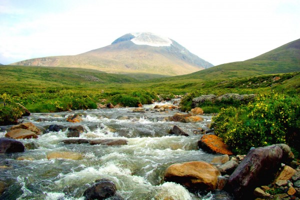 7bhk9grib4b3jfvj2npefg8kir