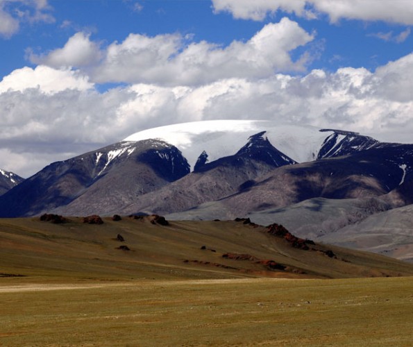 9fe8f8ded76fc13665dee80ffddfb2b6