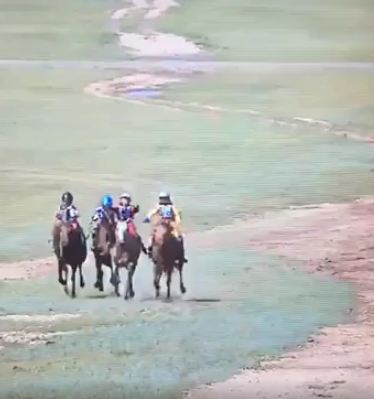 a78a23b8f9748e6077ee77f9b1f61eaf