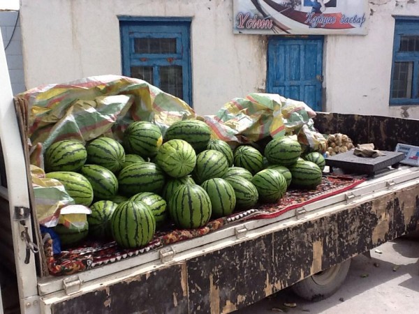 \"10329024_779920448695765_3895732360180844861_n