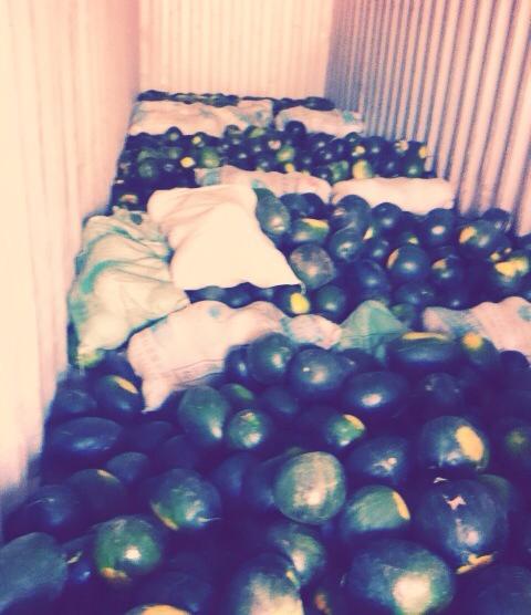 \"10450846_795926717095138_2461942049236884718_n