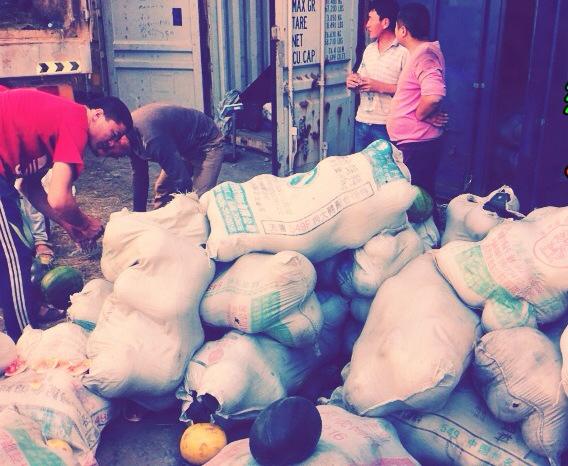 \"10653470_795926697095140_820820762363292055_n\"