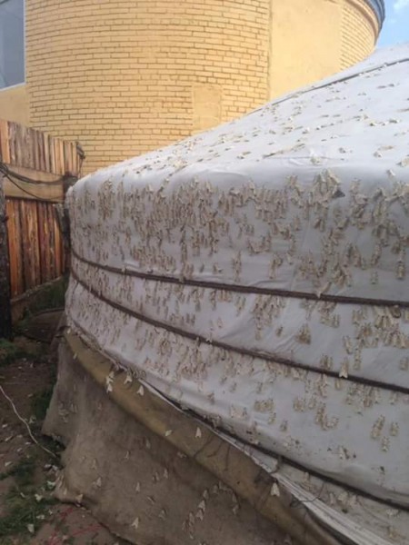 13880231_1063479810388038_8261591087813541883_n