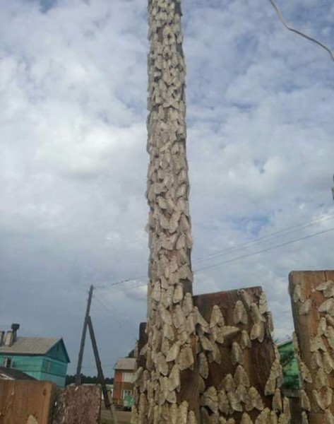 13925192_1063479750388044_6236130468825810762_n