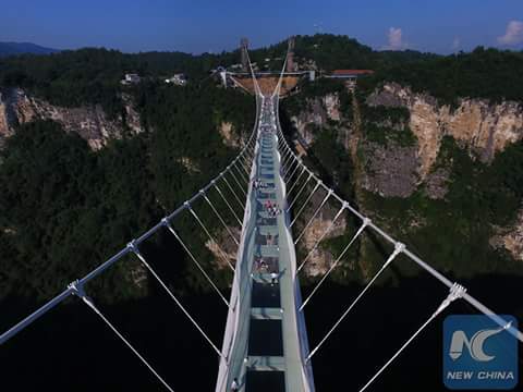 13962579_324478454562577_3131312105977798880_n