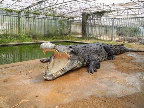 14045867_1354957351198372_5176165683143473674_n