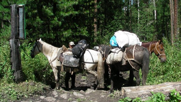 14046078_1758859434382597_1985677786676654475_n