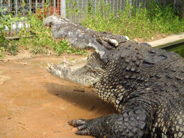 14051754_1354957407865033_4327930065647480128_n