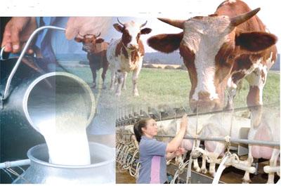 1434352193_2994sfu4rrnvfm11s7qpffrljl