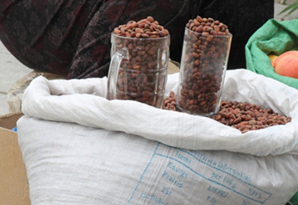 3a9024da14e49ddb1b2f0c1658f4152d