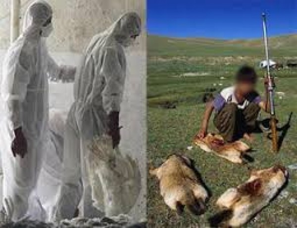 edb573a17581af3290eff07627fcedd0_L