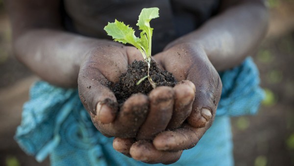 fc2e73d70791b76original