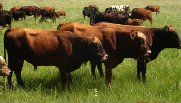 p1ar341oar17n11suv2a8kg81qv71