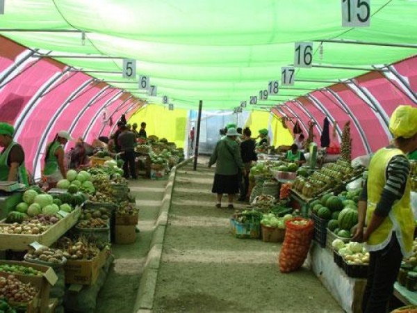 p1arf7ok0n1v3huu01dj61r7gsse1