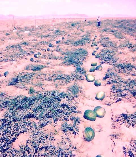 \"10614252_795926740428469_2637491026770393881_n\"