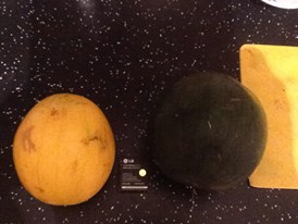 \"10653424_796320607055749_8436966251974103809_n\"