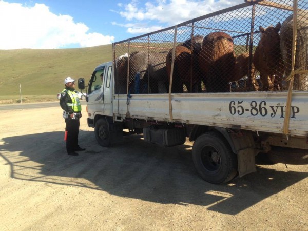 14142062_754601554680603_970344731475892519_n