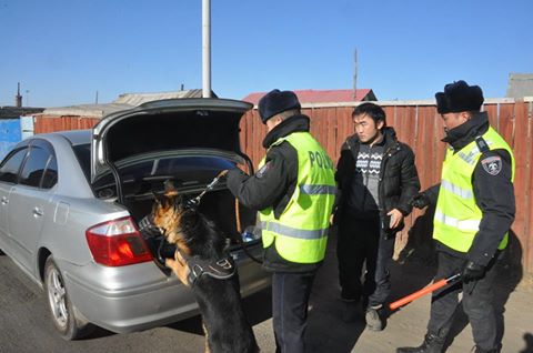 14225445_525674787625941_5355683588529055430_n