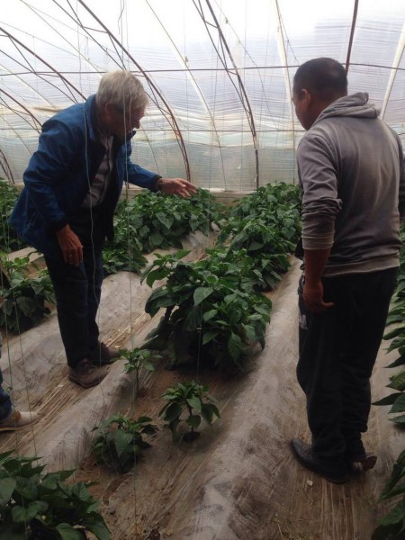 14408109_1205296156208555_2143695492_o