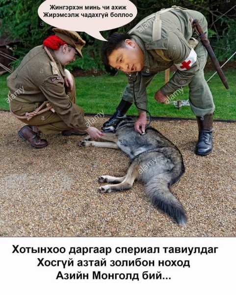 14479762_851032435033737_9071969901966676021_n