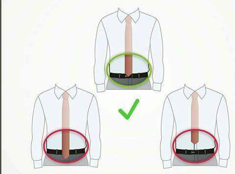 14495433_1796650830617671_6083901642846601649_n