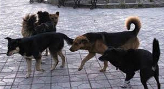 1467690397577b2d9dec52a