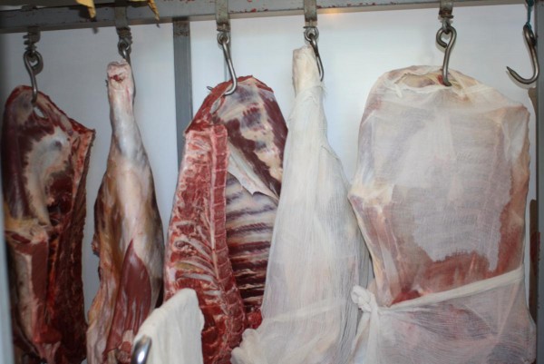 1474338428_6hi0fa0ekok7eqmjner4hl0frb