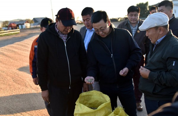 39a47209d38edd3fffd184199d028e47