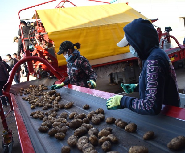 8c89b913a481b070d0bd6f1cb5e74d1f