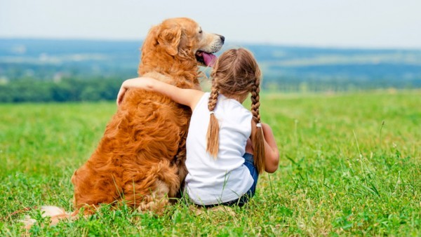 992ad5ed96da41e8d46e02301aa83c72-600x338