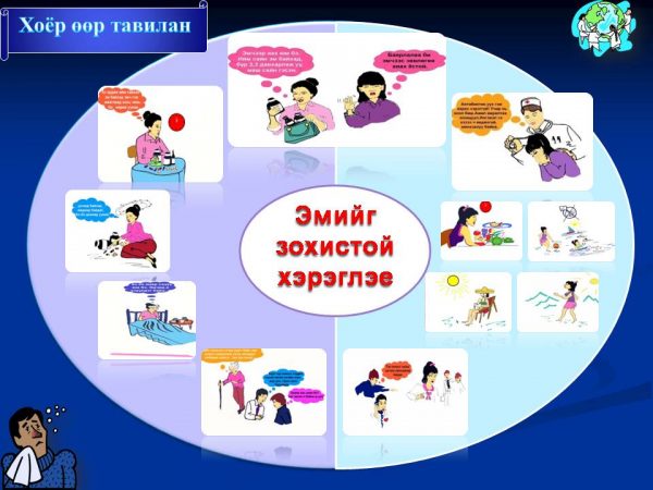 emiin-zohistoi-hereglee-1