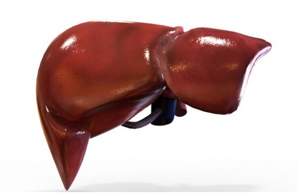 f72c04259505431original_700x700