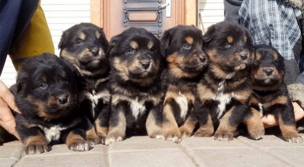 olloo_mn_1422578103_untitled-1