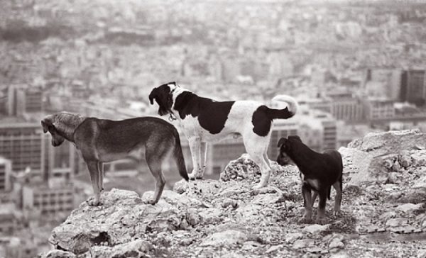 olloo_mn_1458879862_8788815562f2349cc8df21