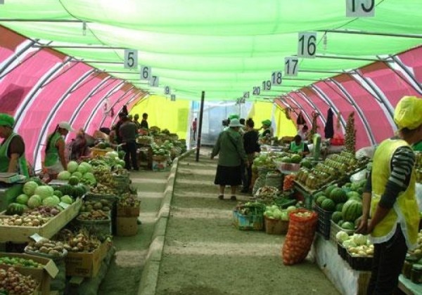 p1arumn3337cq1ktnpaboem1s5g2