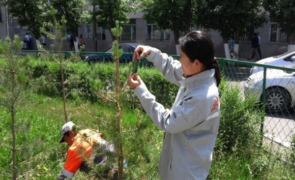 p1ash8dt6jh7j5h8ltjotkuk61