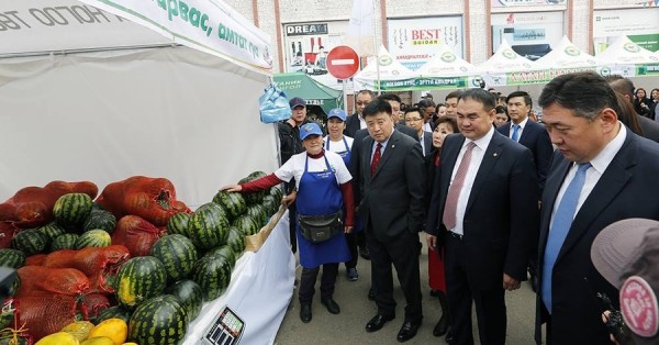 p1asmarcgj1snr17uqsicvdo173p1