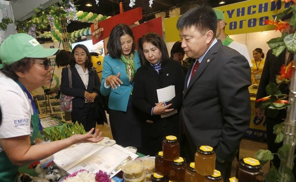 p1asmarcgjeg61o7j1p5617fc13ld2