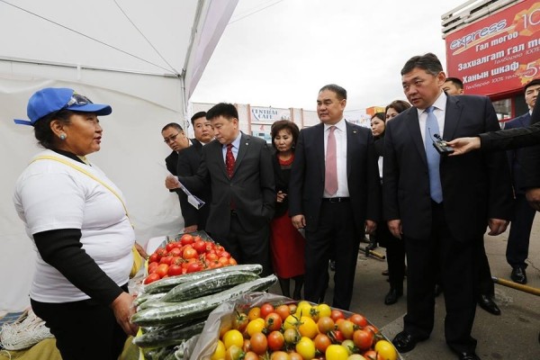 p1asmarcgkot0jugdmm1b7b19h3