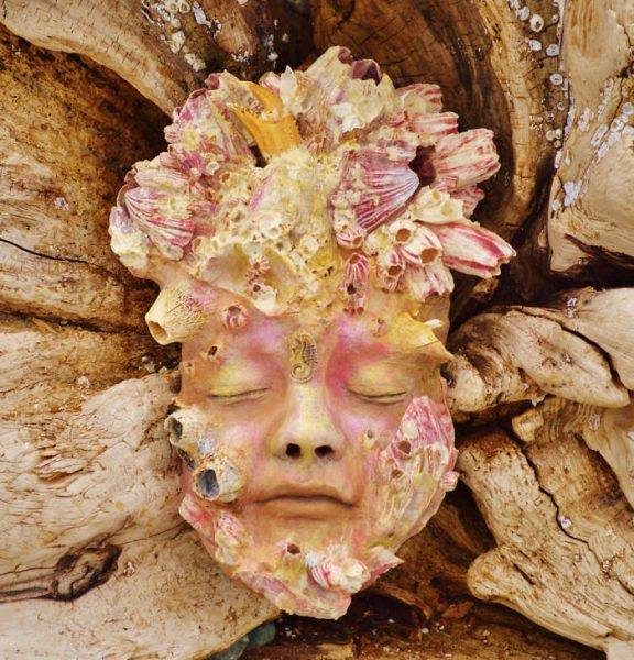 14485147_279158819149834_3957916024439937015_n