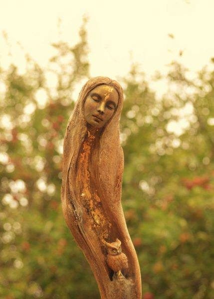 14581375_279158695816513_6282435854577859203_n