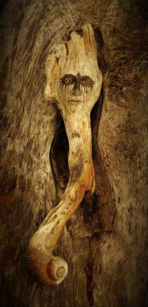 14581410_279158749149841_5979858736687148916_n