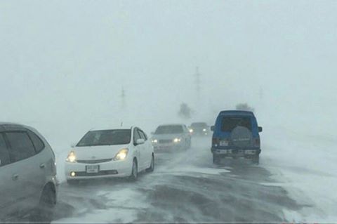 14590387_780169435457148_6516601981187222474_n