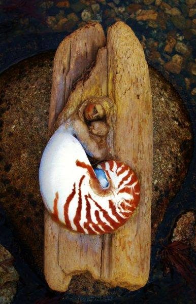 14600881_279158535816529_8726409204677013146_n