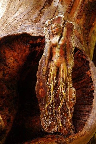 14641913_279158599149856_729598098284764592_n